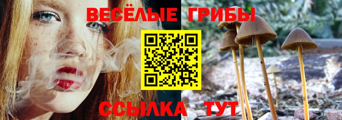 Псилоцибиновые грибы ЛСД Знаменск